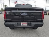 New 2025 Ford F150 STX w/ Equipment Group 200A image 5