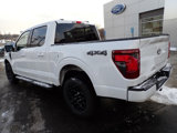 New 2025 Ford F150 XLT w/ Equipment Group 302A MID image 3