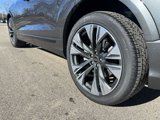 New 2025 Audi Q8 Prestige image 3