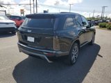 New 2026 Cadillac Vistiq Sport image 6