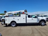 New 2025 Ford F550 2WD Regular Cab Super Duty image 4