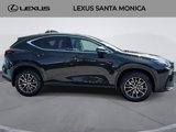 Used 2025 Lexus NX 350h AWD w/ Premium Package image 4