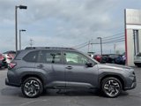 Certified 2025 Subaru Forester Limited image 3