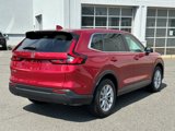 Certified 2024 Honda CR-V EX image 4
