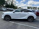New 2025 Lexus RX 350 image 6