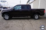 Used 2019 Ford F150 XLT image 4