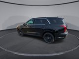 New 2025 Hyundai Palisade Calligraphy image 6