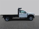 New 2025 Ford F550 4x4 Regular Cab Super Duty image 4