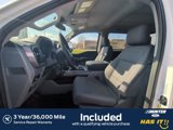 New 2025 Ford F150 XLT w/ Equipment Group 303A High image 4
