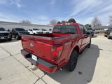 New 2025 Ford F150 XLT image 4