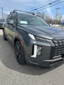 New 2025 Hyundai Palisade XRT image 3