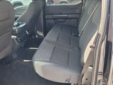 Used 2023 Ford F150 XL w/ STX Appearance Package image 4