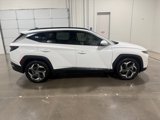 Used 2023 Hyundai Tucson Limited image 4