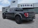 Used 2022 Ford F150 Raptor w/ Raptor 37 Performance Package image 3