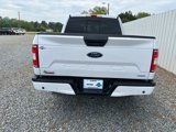 Used 2019 Ford F150 XLT w/ Equipment Group 302A Luxury image 4