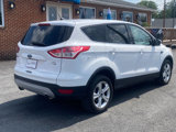 Used 2014 Ford Escape SE image 5