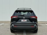 New 2025 Toyota RAV4 XLE Premium image 4