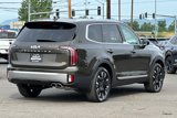 New 2025 Kia Telluride SX Prestige image 4