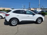 Used 2022 Ford Escape SE w/ Convenience Package image 3