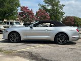 Used 2019 Ford Mustang Premium image 5