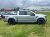 New 2025 Ford F150 XLT w/ Equipment Group 302A MID image 2