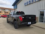 New 2025 Ford F150 XLT image 3