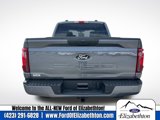 New 2025 Ford F150 STX w/ STX Black Appearance Package image 4