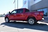 New 2025 Ford F150 XLT w/ Equipment Group 303A High image 3