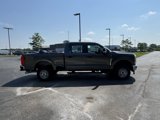 New 2025 Ford F250 XL image 5