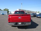 New 2024 Ford F150 XLT w/ Equipment Group 303A High image 4