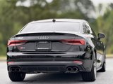 Used 2019 Audi S5 Premium Plus w/ Premium Plus image 6