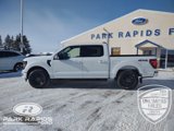 New 2025 Ford F150 XLT w/ Equipment Group 302A MID image 2
