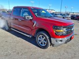 New 2025 Ford F150 XLT w/ Equipment Group 301A Standard image 4