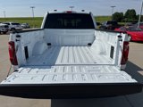 New 2025 Ford F150 XLT image 5