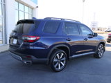New 2025 Honda Pilot Elite image 4