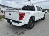 Used 2023 Ford F150 XLT w/ Equipment Group 302A High image 3
