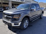 New 2025 Ford F150 XLT image 2