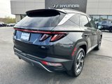 Used 2023 Hyundai Tucson Limited w/ Cargo Package image 5