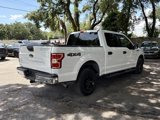 Used 2019 Ford F150 XLT image 5