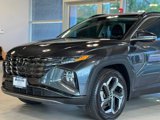 Used 2022 Hyundai Tucson Limited w/ Winter Package image 2