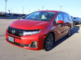New 2025 Honda Odyssey Touring image 2