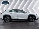 Used 2019 Lexus UX 200 F Sport image 4