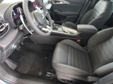 New 2025 Dodge Hornet R/T w/ R/T Blacktop Package image 6