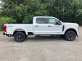 New 2025 Ford F250 XL image 4