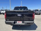 New 2025 Ford F150 STX w/ Equipment Group 200A image 5