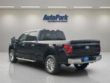 New 2025 Ford F150 XLT w/ Equipment Group 303A High image 5