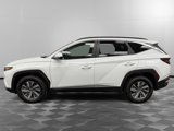 Certified 2024 Hyundai Tucson Blue image 2
