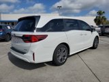 New 2025 Honda Odyssey Touring image 4