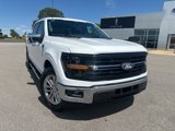 New 2025 Ford F150 XLT image 5