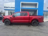 New 2025 Ford F150 XLT w/ Equipment Group 302A MID image 4